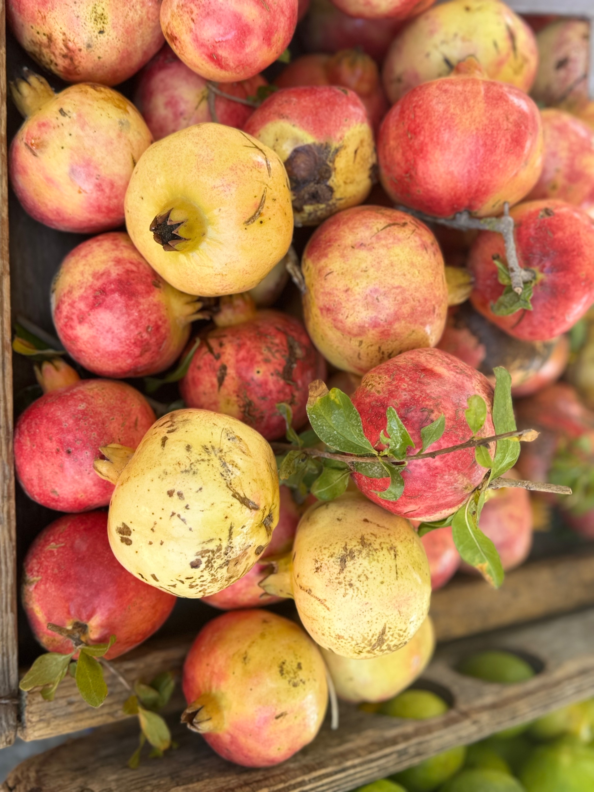 Wochenmarkt Rhodos 💥🍎🍇🍋🍅🥭🍐💯