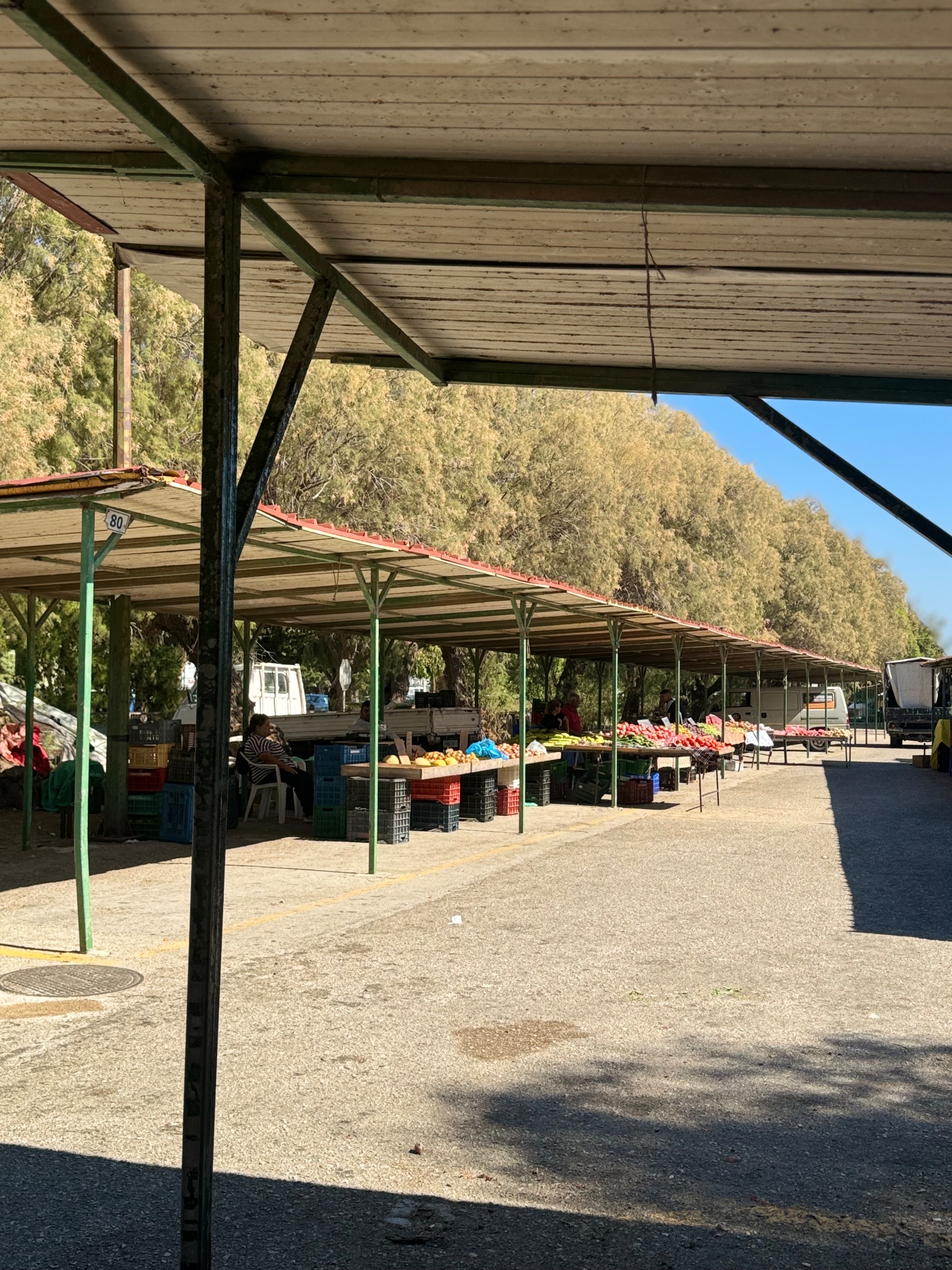 Wochenmarkt Rhodos 💥🍎🍇🍋🍅🥭🍐💯