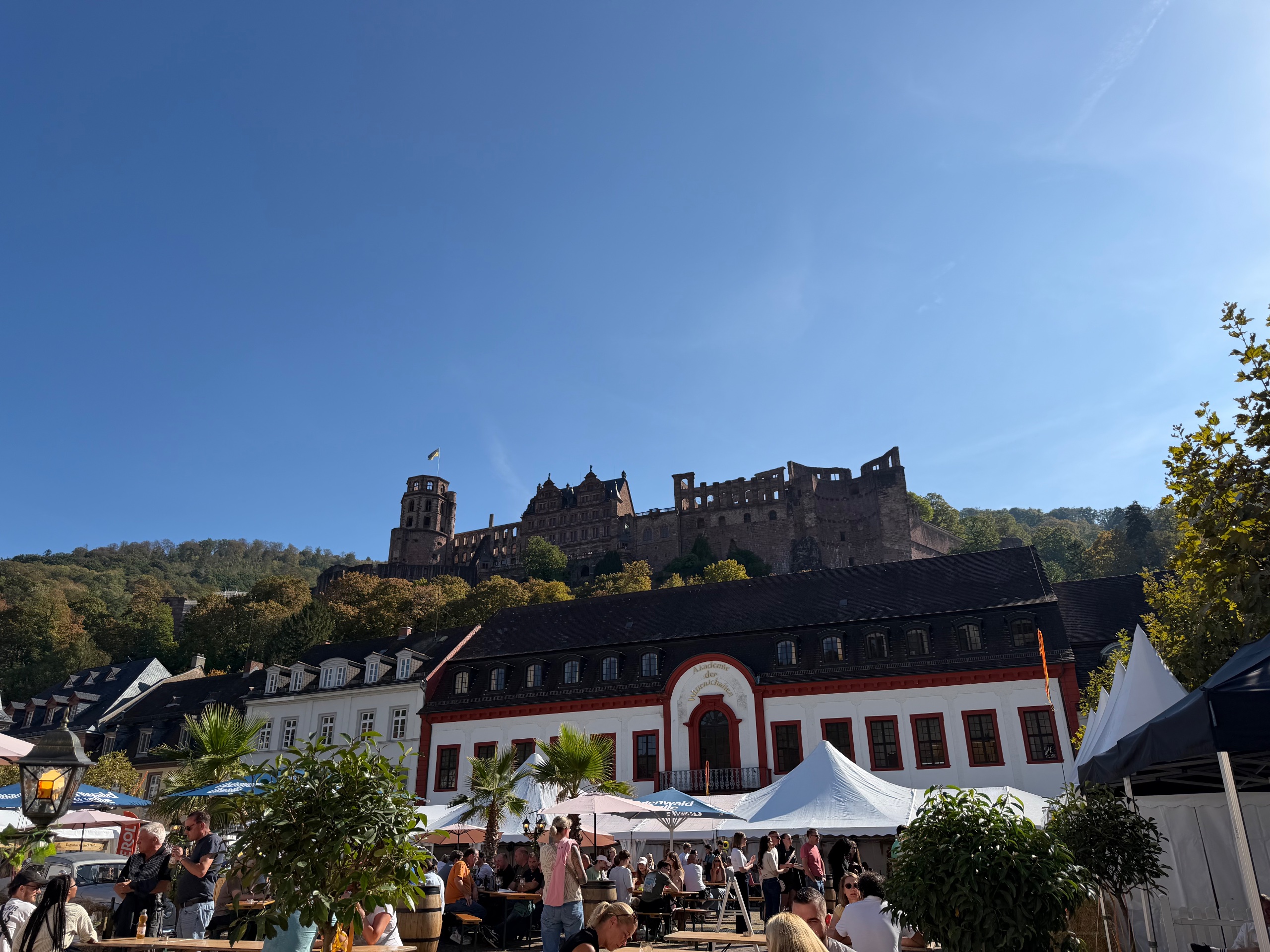 Heidelberger Weindorf 💥🍷💯🍻